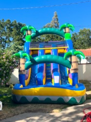 20ft Double lane slide