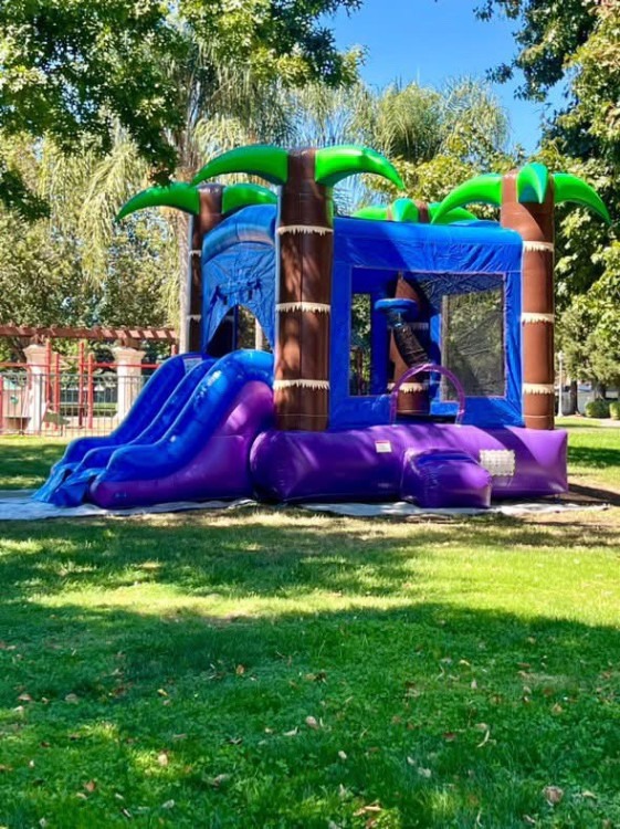 Dry Bounce Houses W/Slide