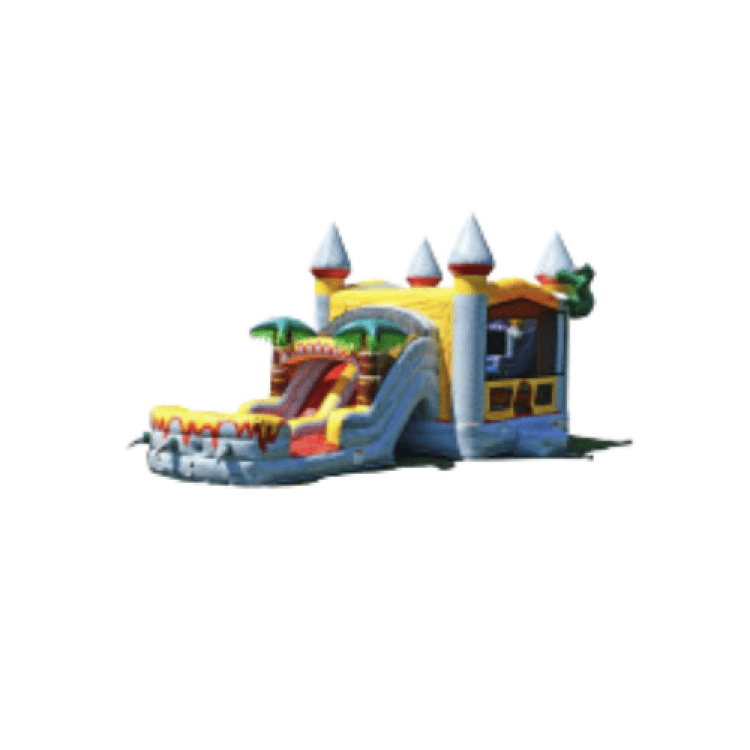 Bounce House W/Slide Rentals